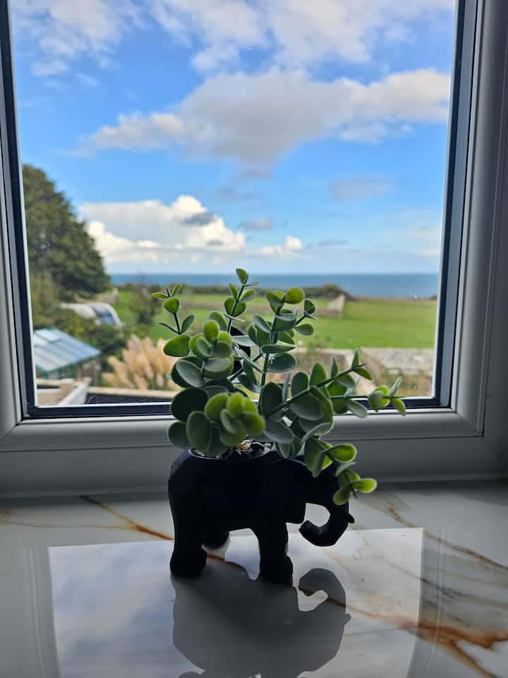 Elephant planter by the window