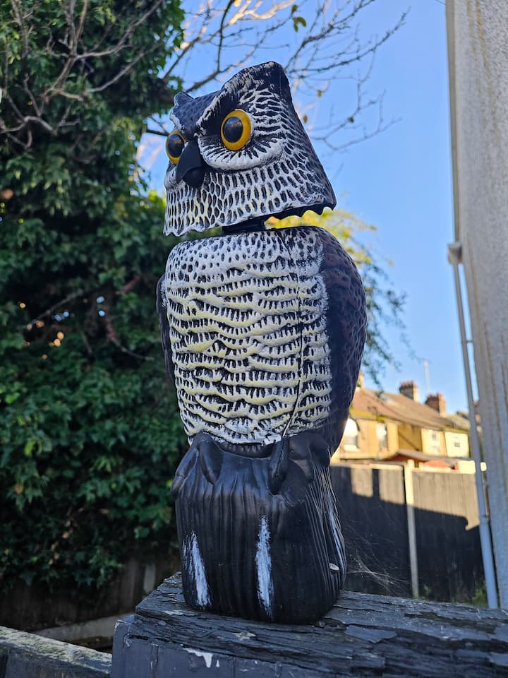 Decorative owl statue outdoors