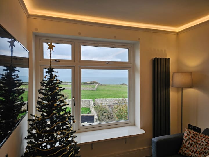 Christmas tree by the window